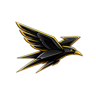 AI Super-Blackbird X icon